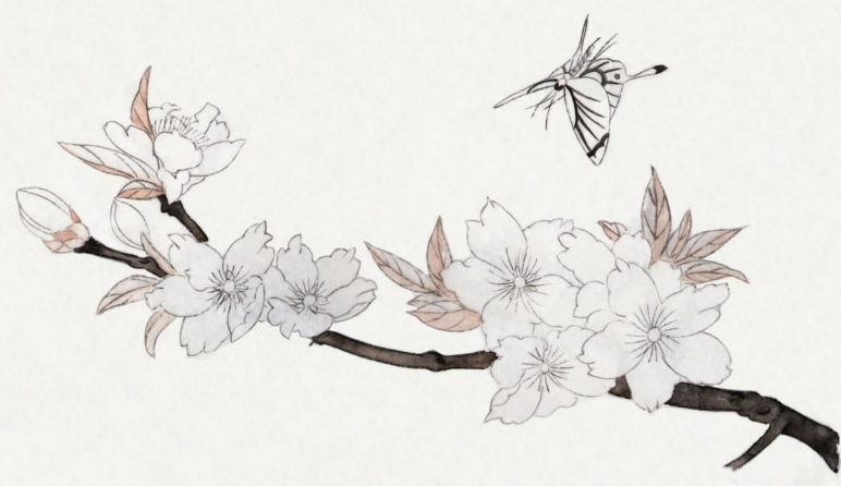 工笔玉兰花蜻蜓桃花蝴蝶等组合画示范上色步骤