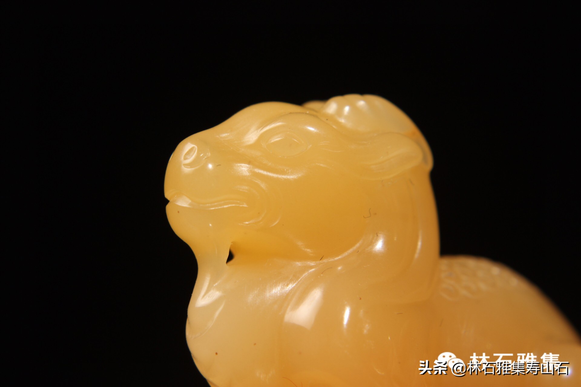 寿山石有没有明确价格呢？林石雅集解读