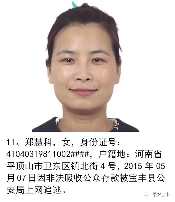 网上逃犯,网上逃犯名单查询系统