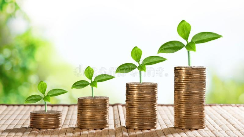 如何种下财富的种子_晶羽科技