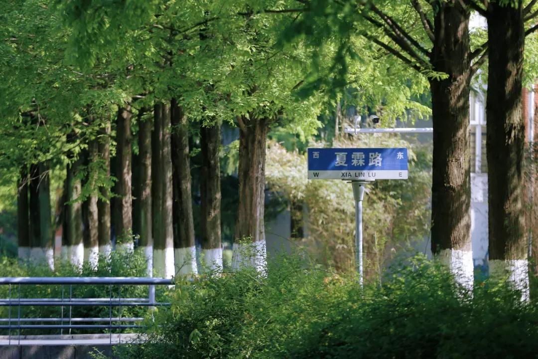 安徽新華學院是幾本?是什么性質學校(圖31)