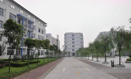 为了就业率，有些职校把学生实习做成了生意