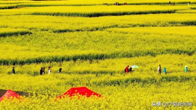 五天长假自驾游攻略来了！银川周边这些地方都挺好~