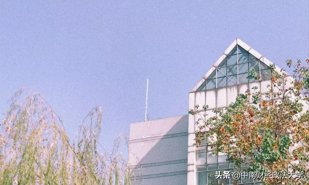 这个学校，就一个字，棒！