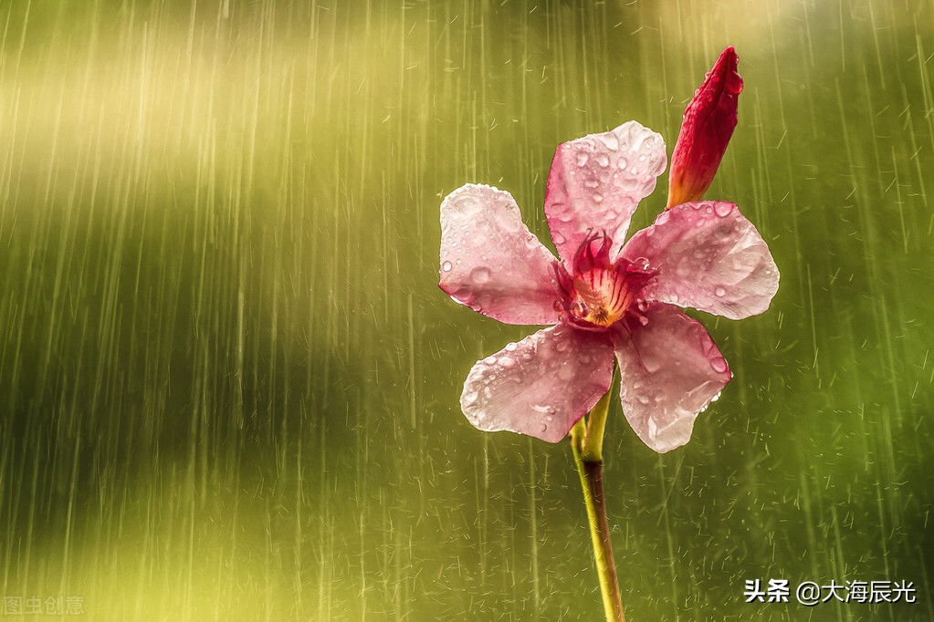 看雨的唯美图片图片