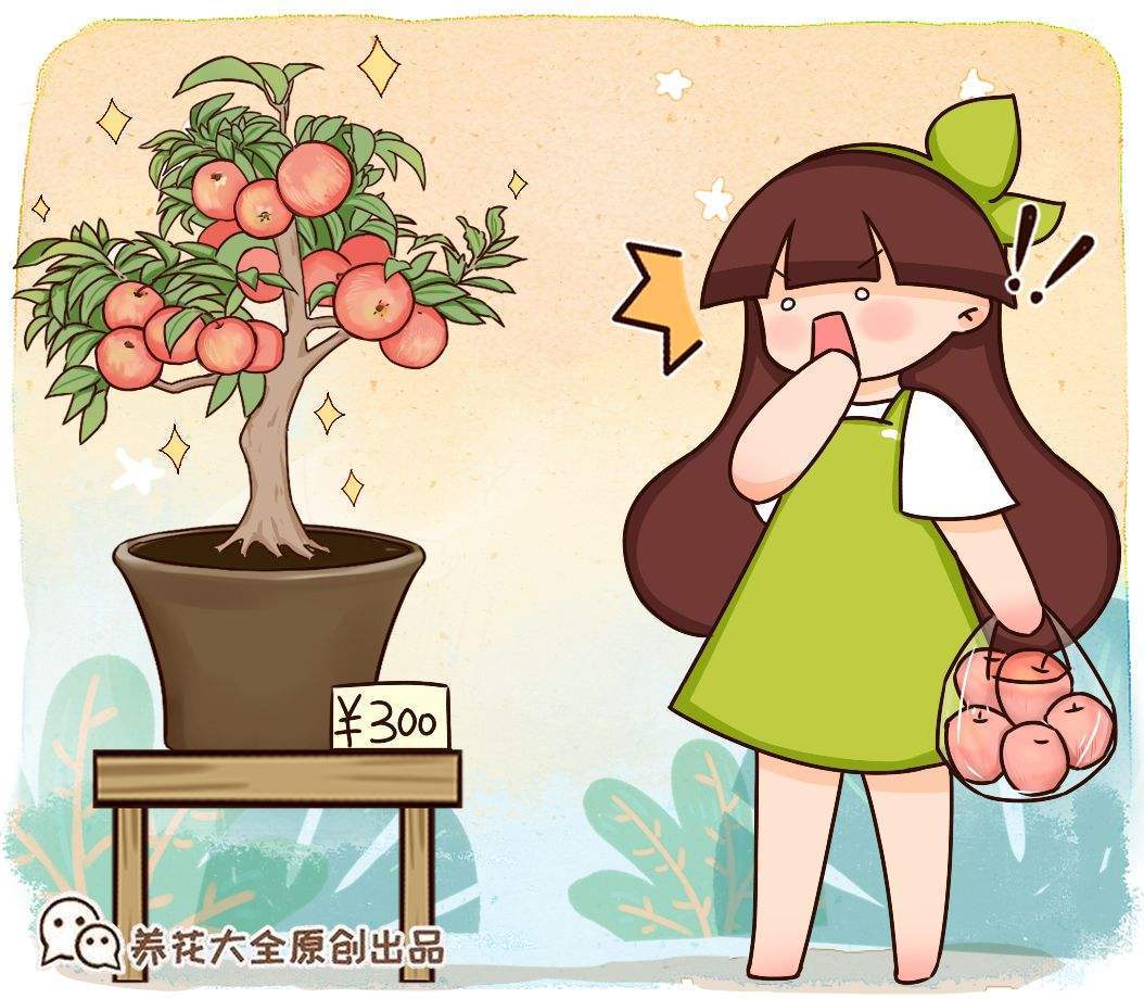 低糖水果排行榜：含糖量最少的健康水果Top10