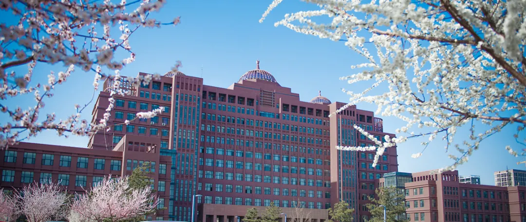 21年各高校艺术类录取原则：文过专排、专过文排、综合分具体情况