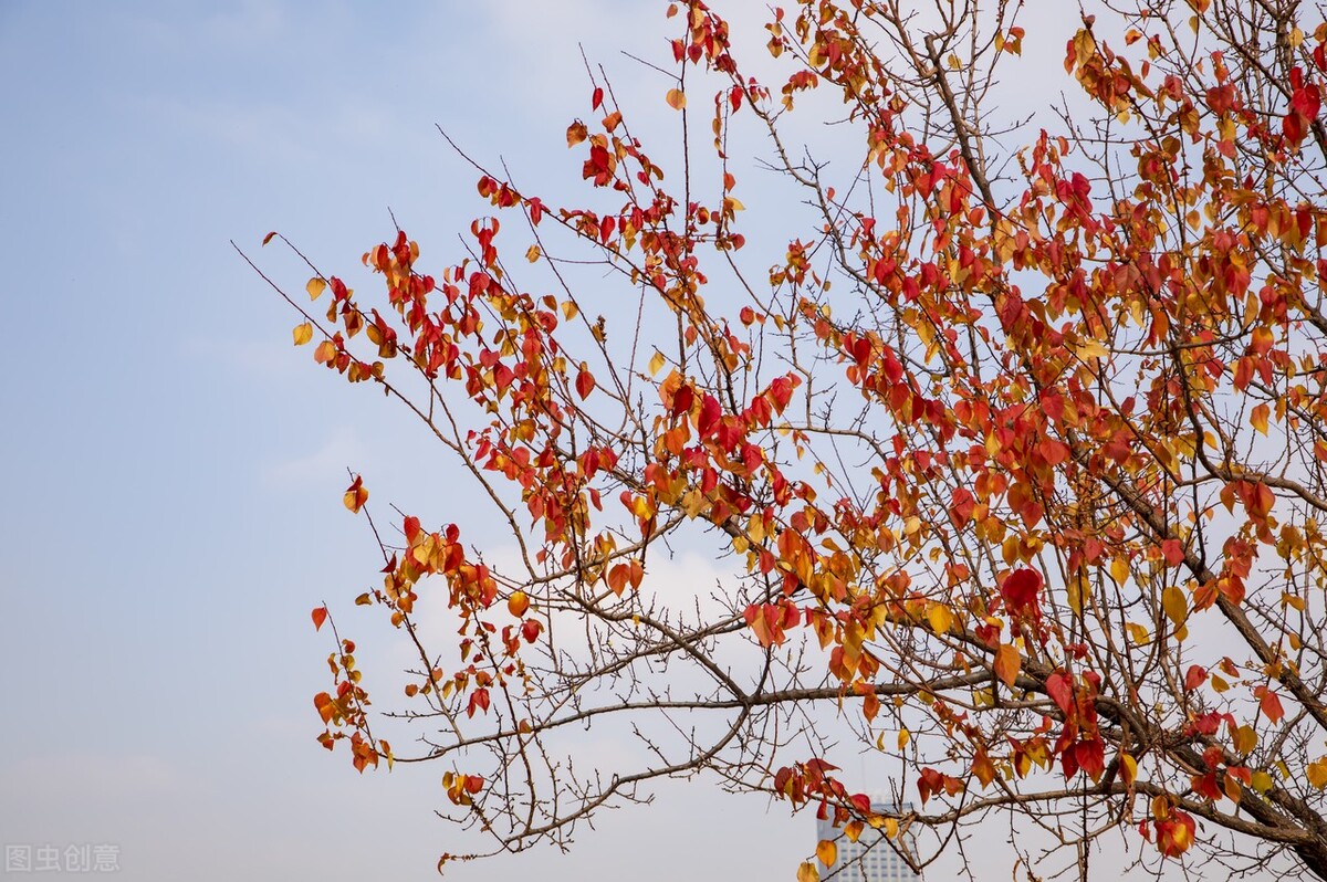 人生，不要抱怨，要相信，每一种选择都是对的