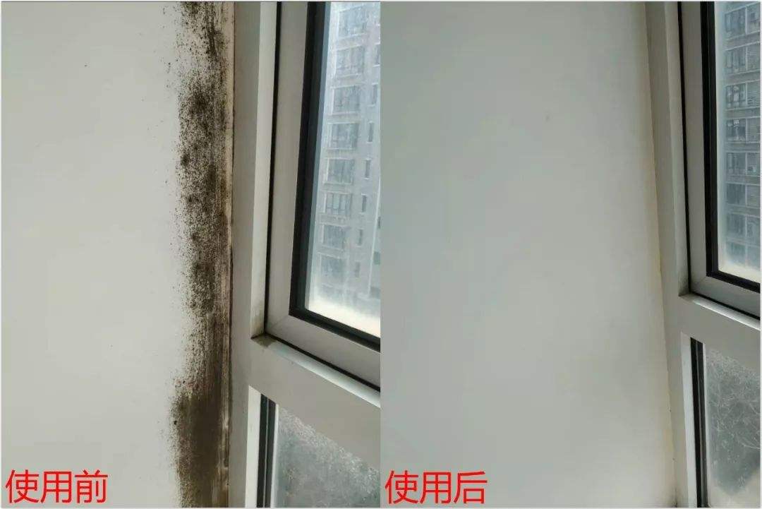 卫生间这4个“先进设计”太实用！谈不上伟大，却能提升幸福感