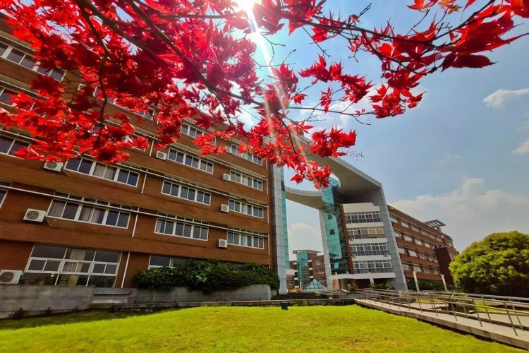 「法硕择校」——宁波大学法律硕士录取数据分析