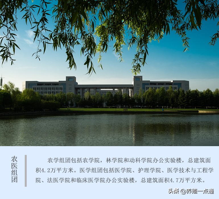 李元晓，河南科技大学动物科学院副教授，反刍动物营养与饲料