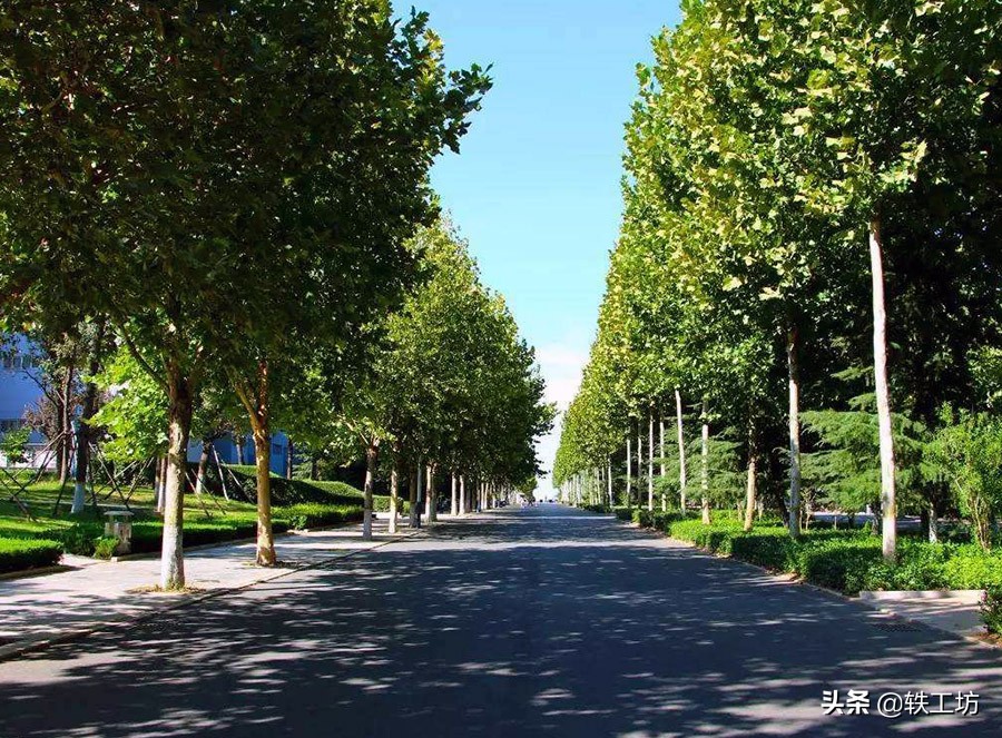 又有5所医学院即将更名为大学！得到地方大力支持，或很快实现