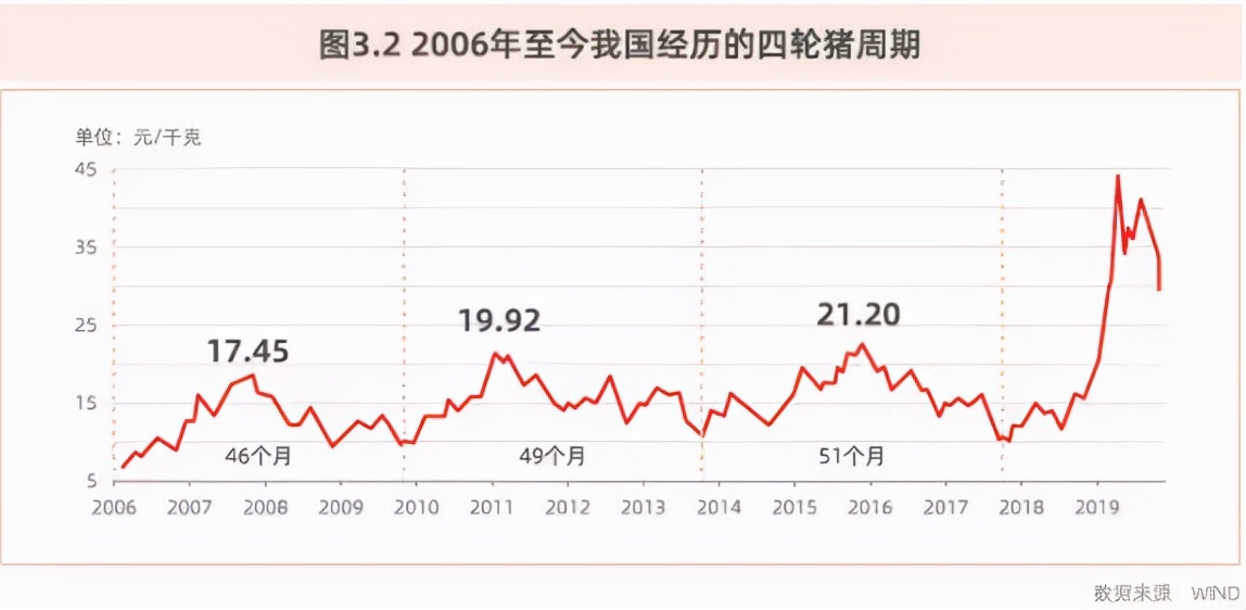 生猪迎“短暂春天”，持续性恐面临考验