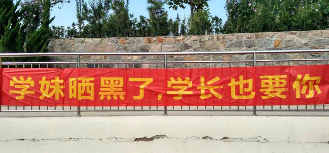 大学军训"硬核"横幅激励学生,给我整笑了,学长学姐得有多野?