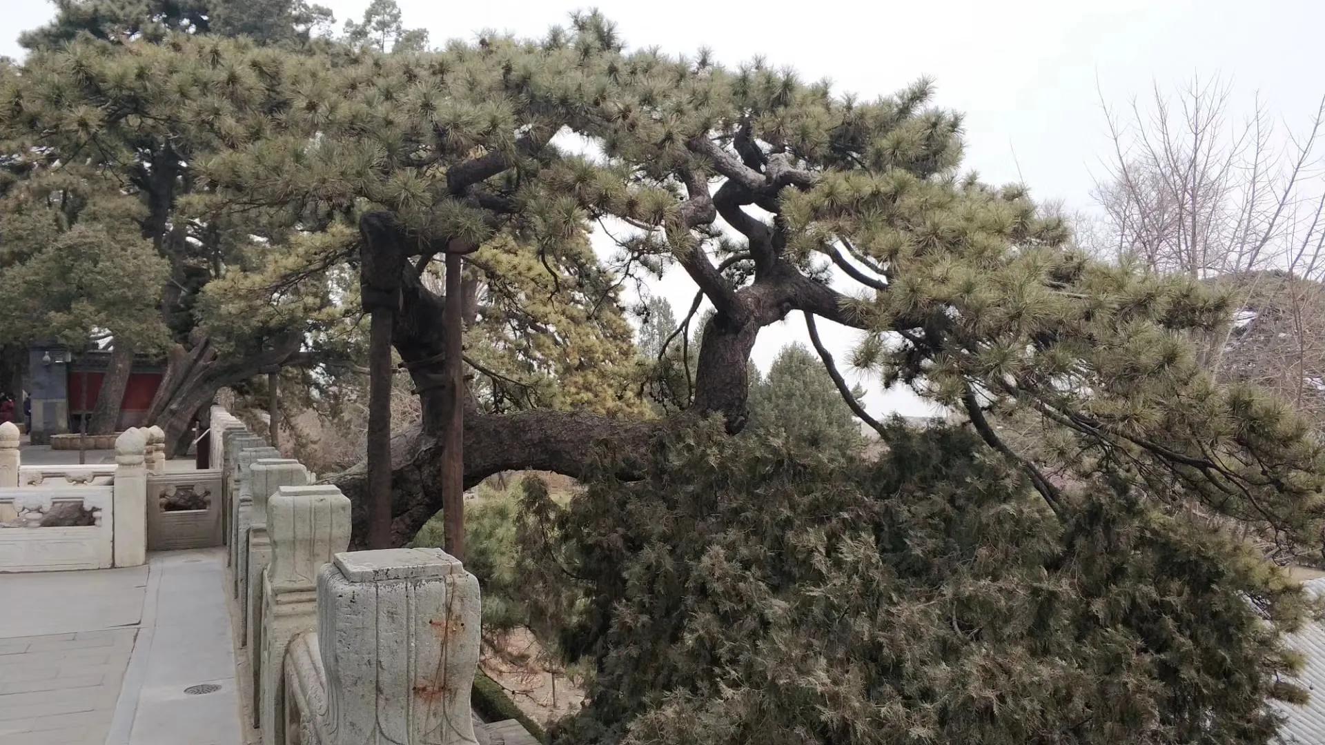 假期去北京十大古道，条条古道讲述着悠久的历史，看着秀丽的风光