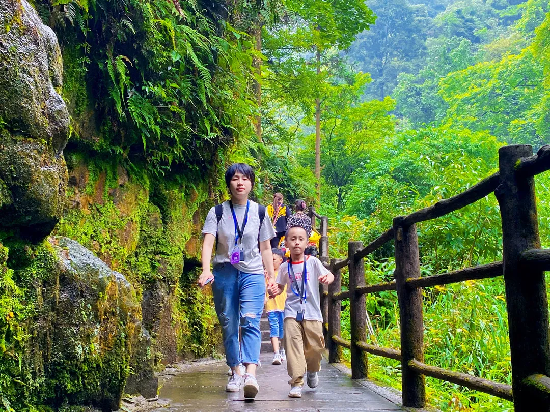 这样的峨眉山，你肯定第一次见