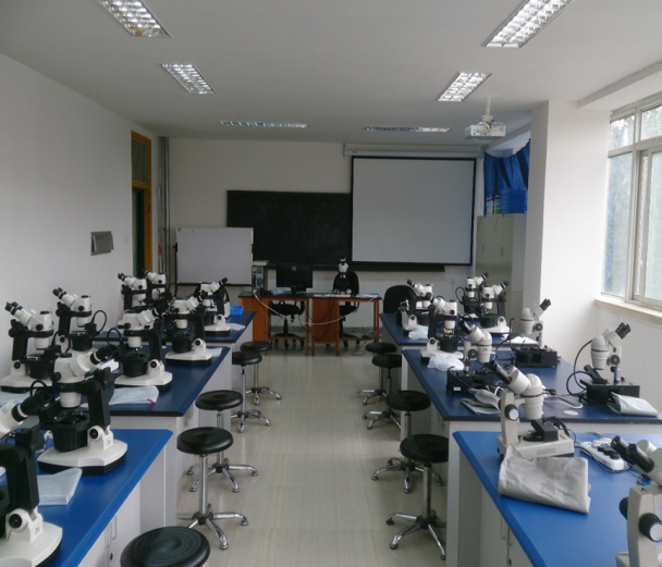 成都“超火”专业：入选国家一流本科专业、国家级特色专业，就业率、考研率双高！