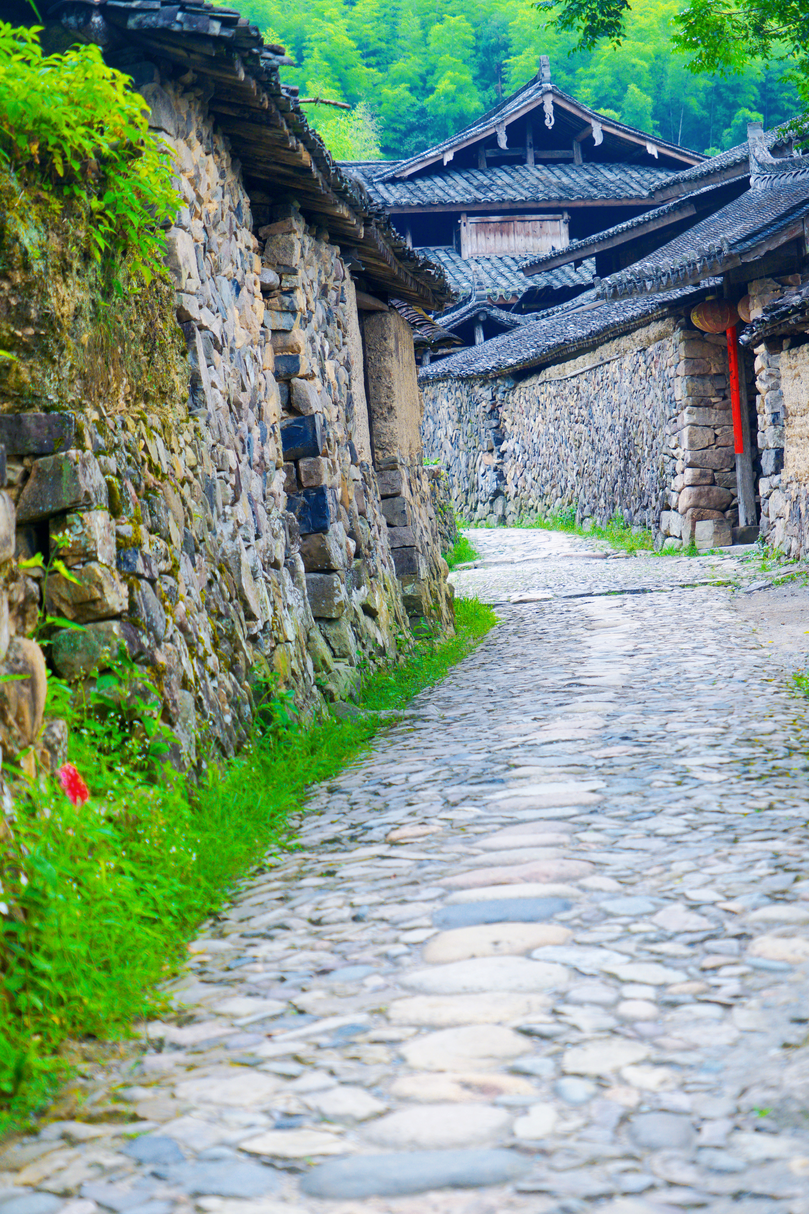 泰顺筱村有个徐姓古村落,村民却不姓徐,明星都曾到访