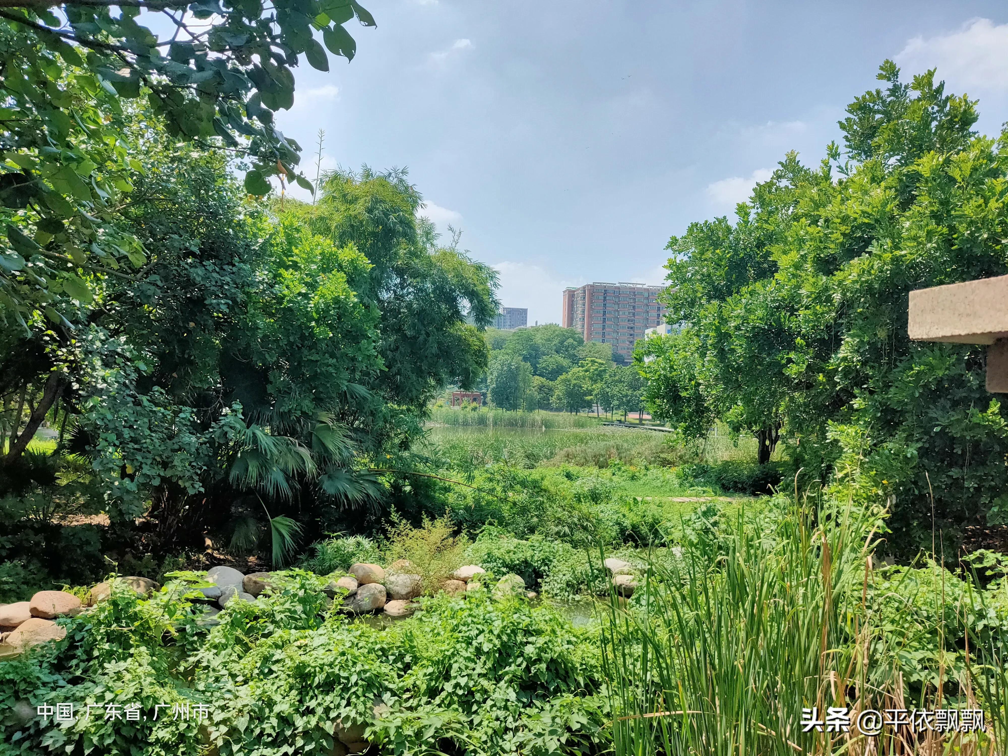 华南农业大学有五湖，一日能游完吗？