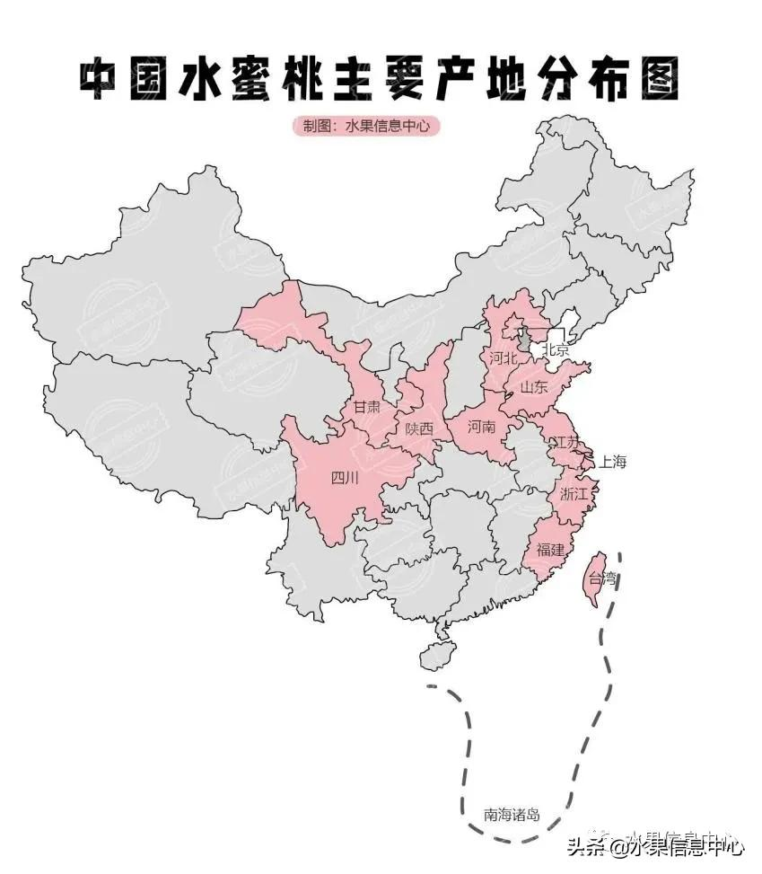 桃子季节是几月份（中国常见水蜜桃产地品种及上市时间）