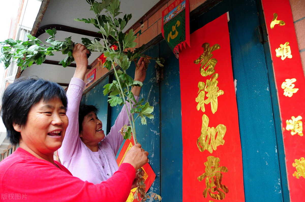 艾叶草图片(端午将至) - 赤虎壹号