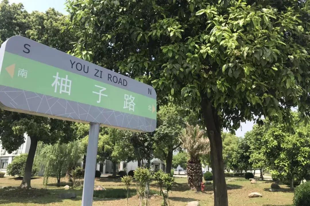 江苏省高校（六十六）苏州大学应用技术学院
