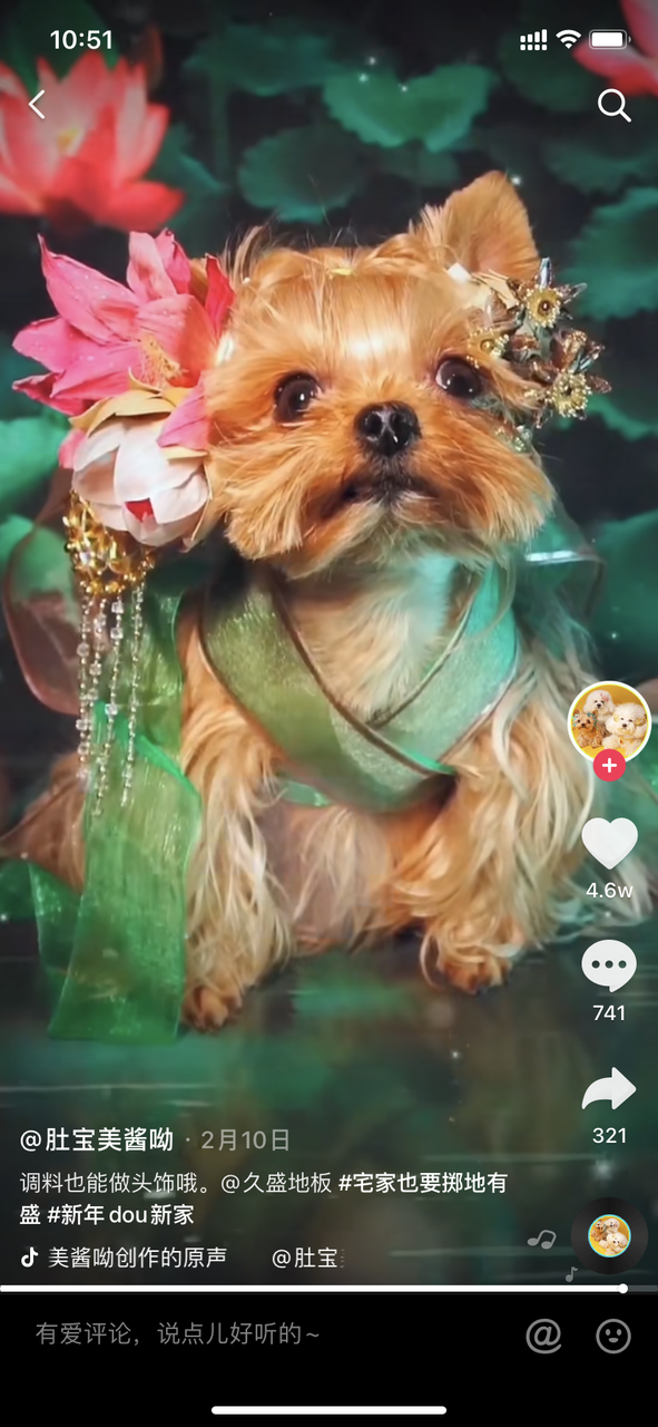 曝光量超10亿！久盛地板玩爆全民春节宅家dou模式
