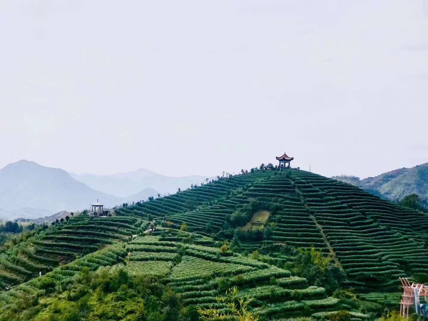 有一种善良，叫做“随喜他的功德” ！