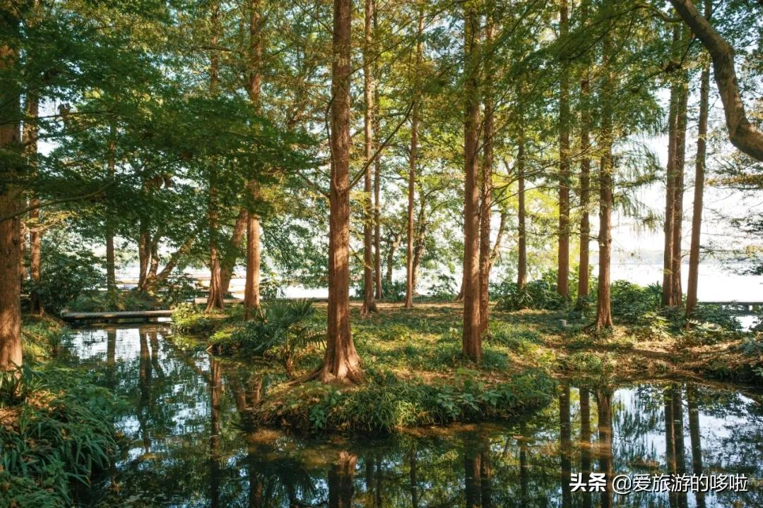 6块钱,包船游西湖