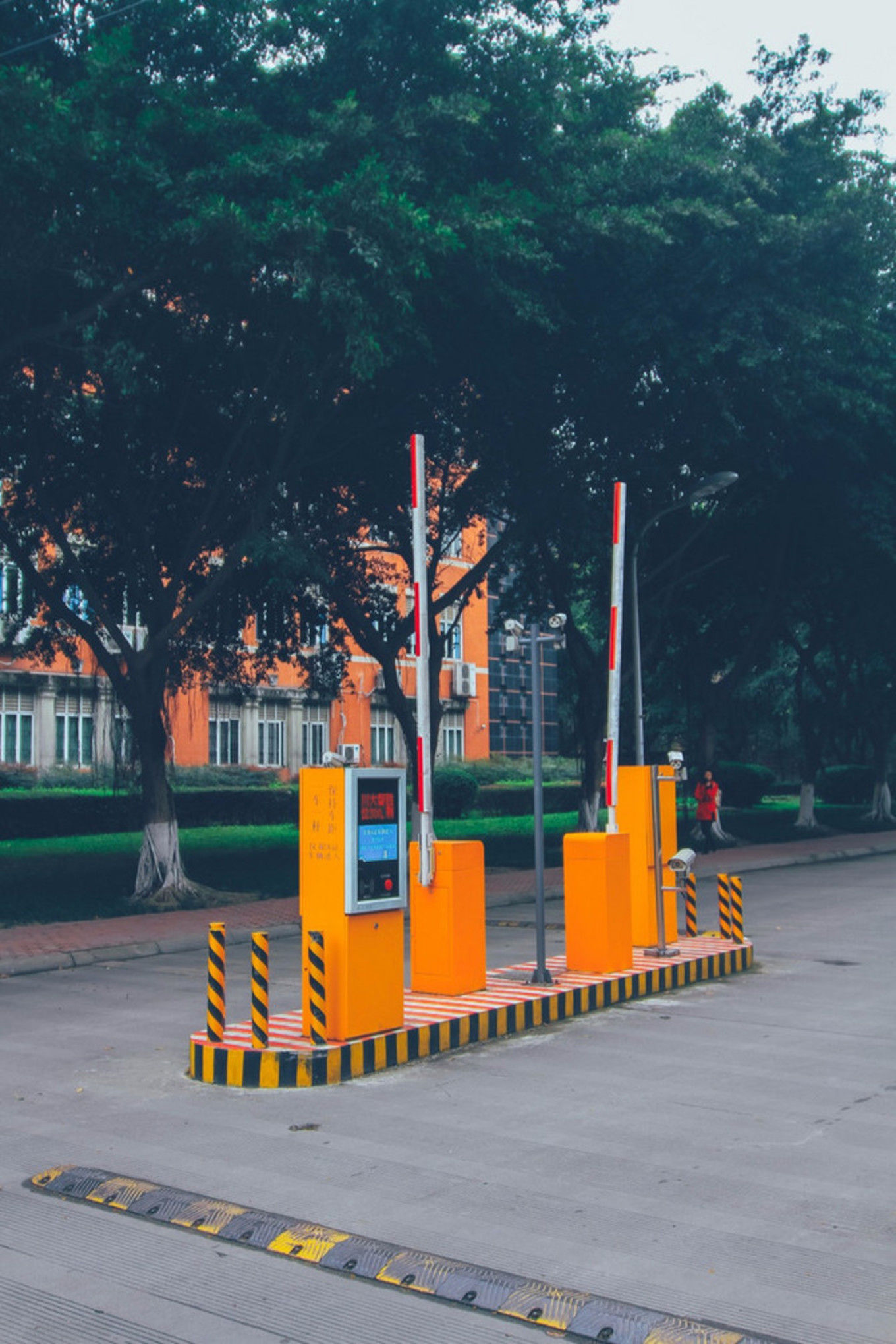 最美校园游——四川大学望江校区