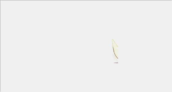 养宠鸟类也是不错的选择之一，与你亲近黏人的宠物鸟