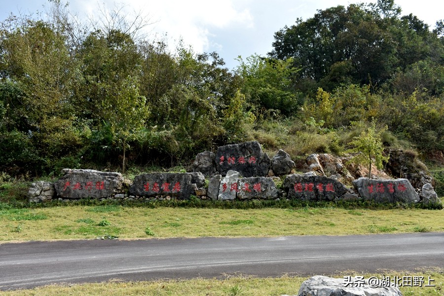 田野上团队下乡小记丨走进省级美丽乡村示范村—分乡镇百里荒村