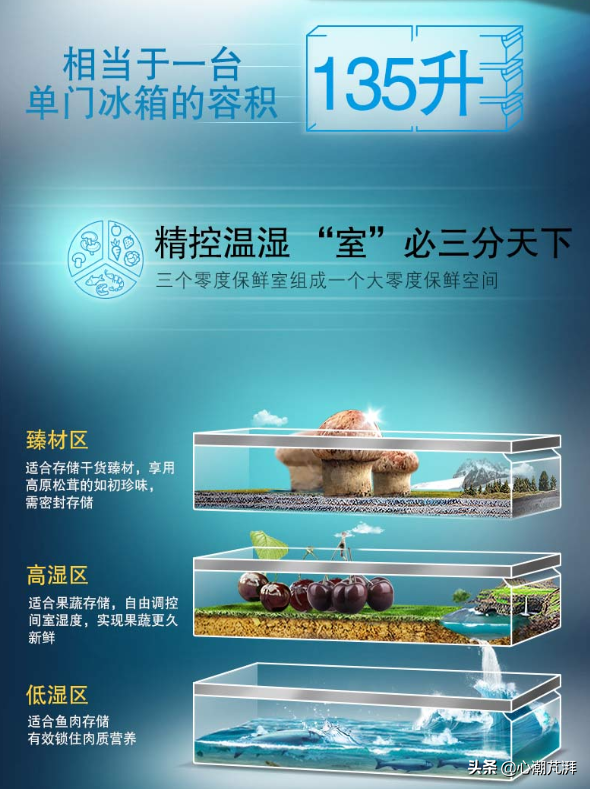 系统分析冰箱德系日系区别，附上11款神机作业给你学