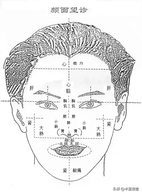 最全面的颜面望诊（只需收藏这一份）