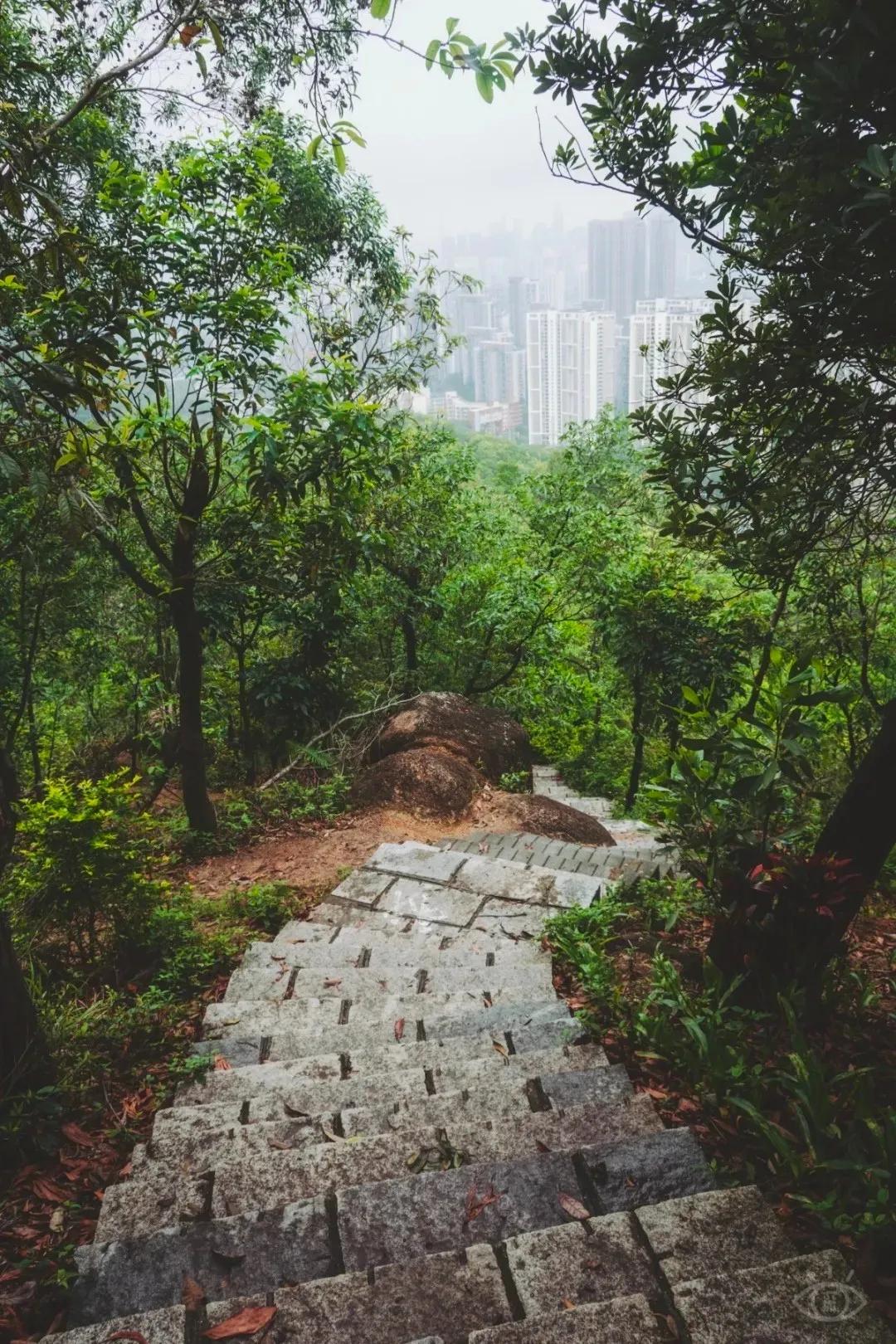 深圳值得征服的10座山，你去过几座？