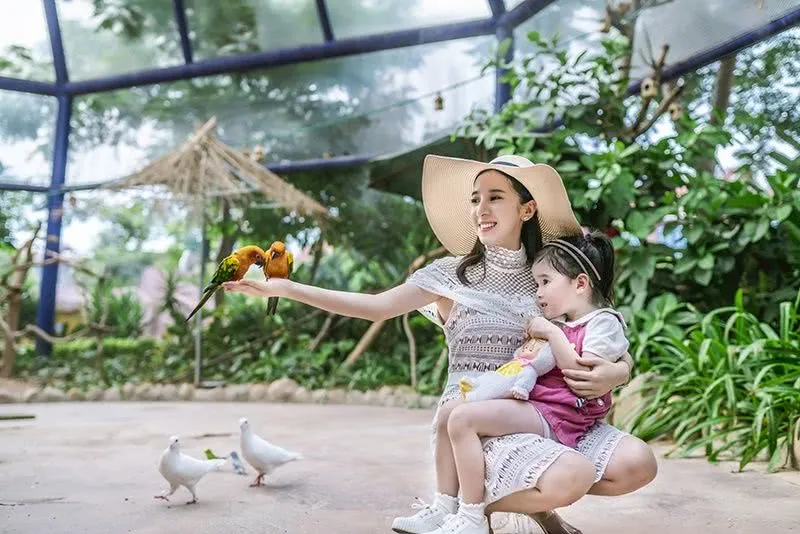 神奇动物在哪里?出发!