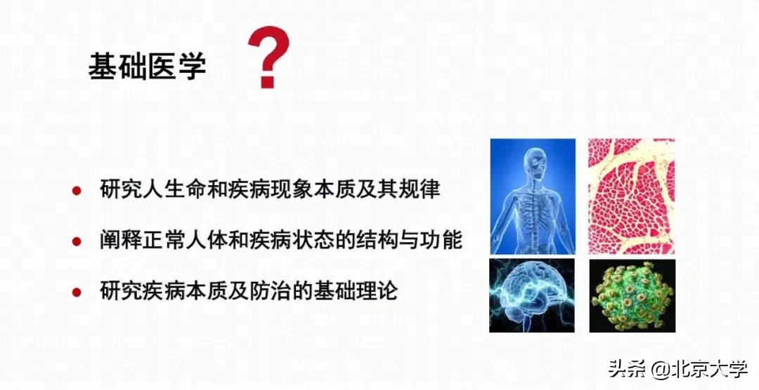 强基计划，北大医学等你来！