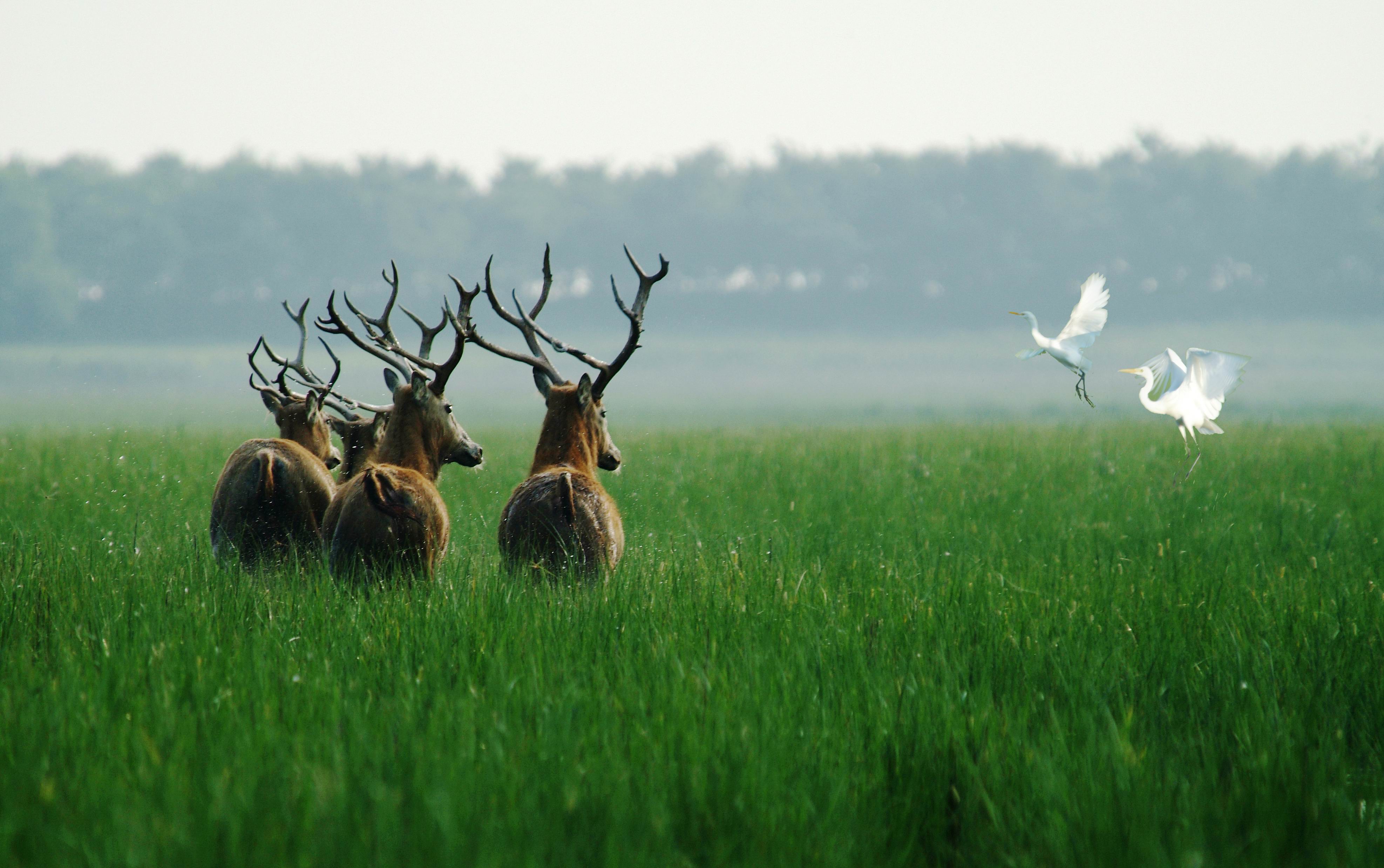 盐城本来就是片海盐城?这个没有山的城市,怎么还地震了?