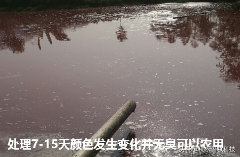 å…»ç‰›åœoå|‚ä½•å¿«é€Ÿä½Žæˆæœ¬è§￡å†3çŽˉä¿é—®é￠˜ï¼Ÿç‰›ç2aã€ç2aæ°′ã€è‡-å‘3ã€è‹è‡