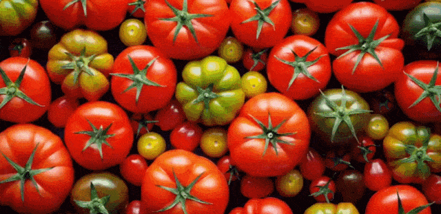 今天给大家一点特别的蔬菜文案，希望你喜欢