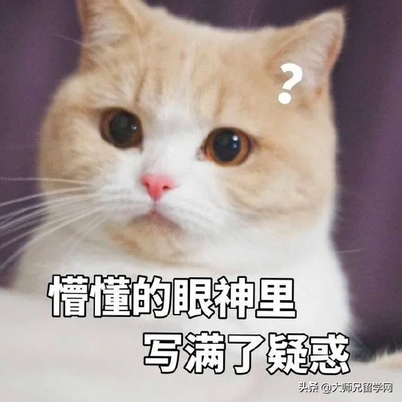 「马来西亚该如何」myr是什么货币（汇率及单位详解）