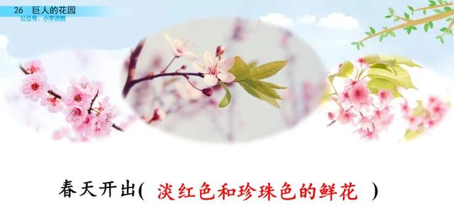 部编语文四年级下第26课《巨人的花园》知识点+图文讲解+课堂测试