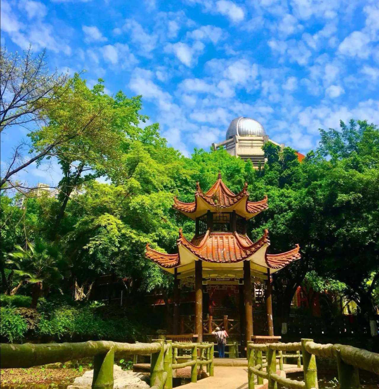 重庆最好的五所中学