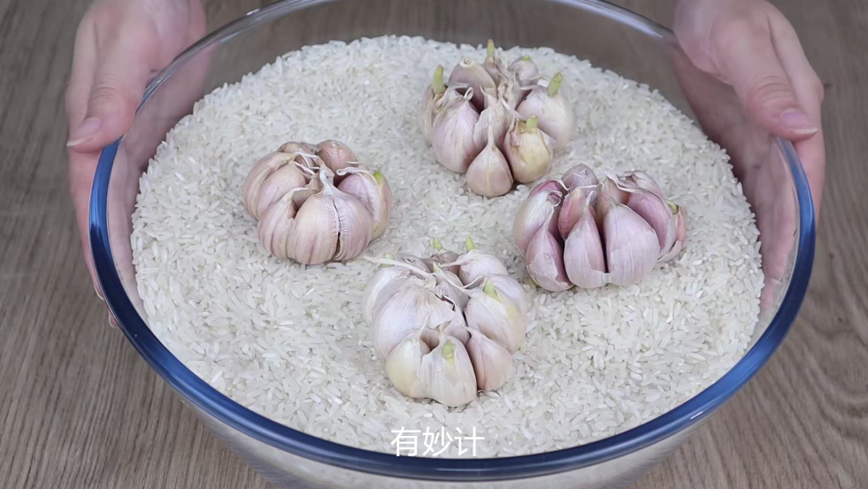 今天才了解，大米里埋几头大蒜，作用真是厉害了，解决家庭大麻烦