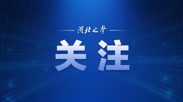急诊开放！武汉非新冠肺炎的患者可去这些医院