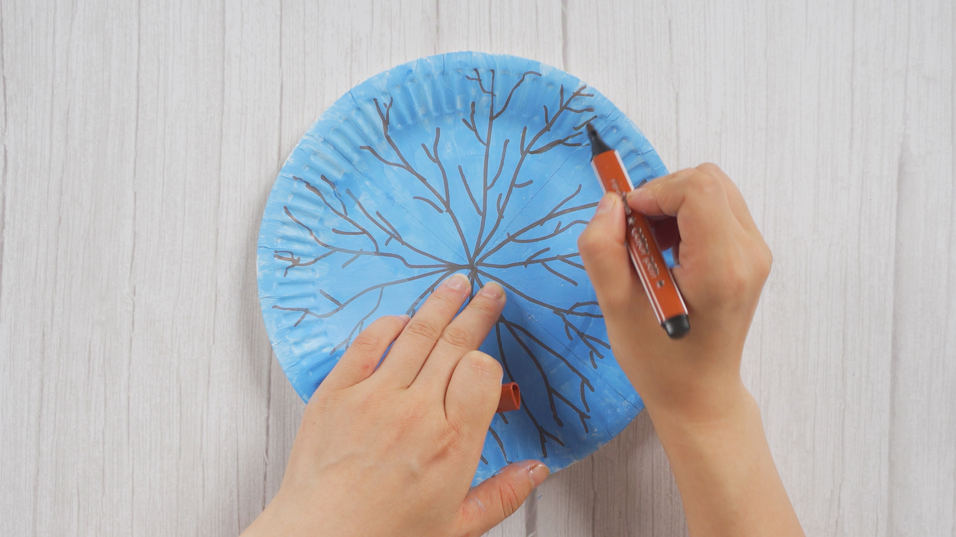 用盘子做手工图片(diy创意纸盘手工) - 赤虎壹号