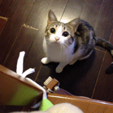 2020版最新法官、检察官表情大全！哈哈哈