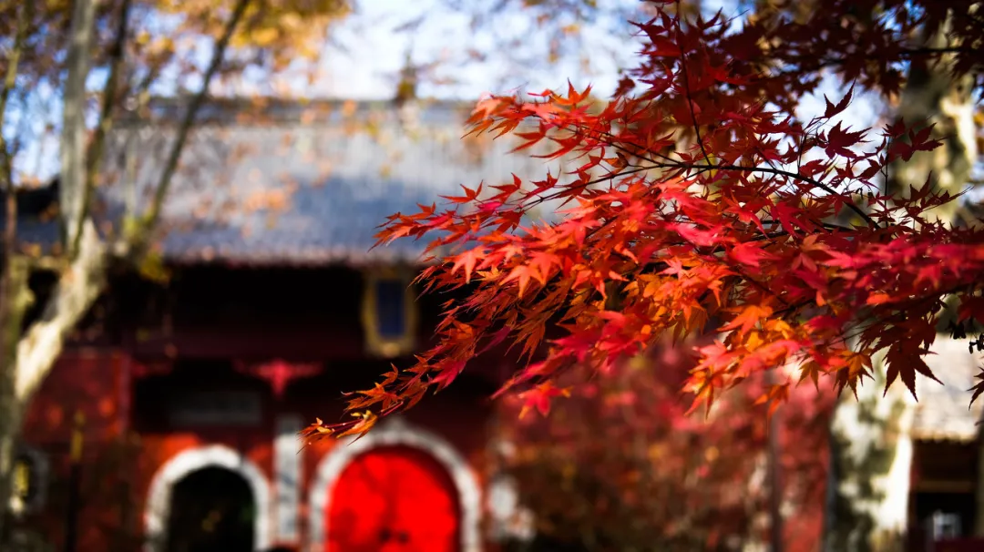 太美了!10个愈秋愈美的小众旅行地,错过只能再等一年