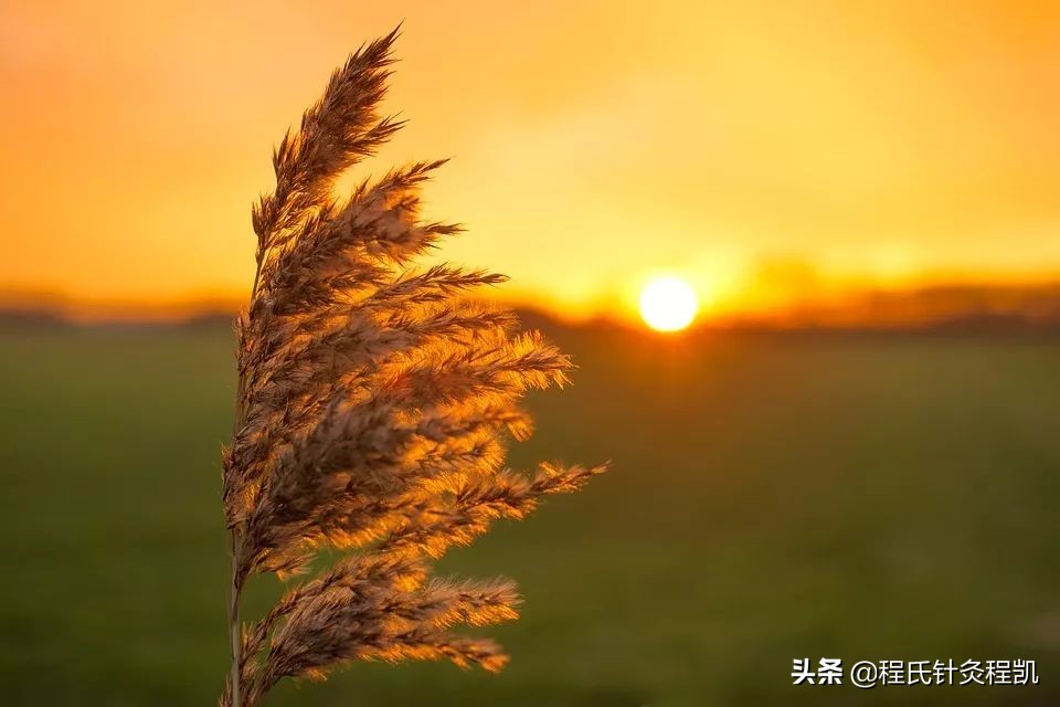 腹部受凉导致腹泻的处理方法
