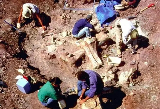 科学家不敢公开的发现（世界上曾有5米高的巨人）